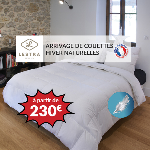 LESTRA - Couette SOFTYNE 50% duvet